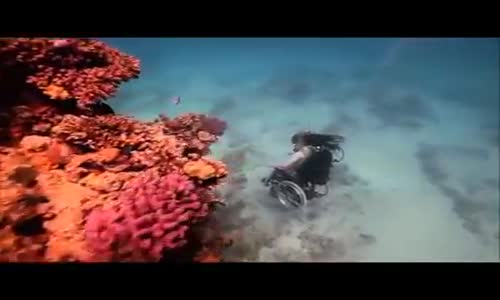 Hiçbir Şey İmkansız Değildir! Tekerlekli Sandalyesi ile Kızıldeniz'e Dalan Kadın