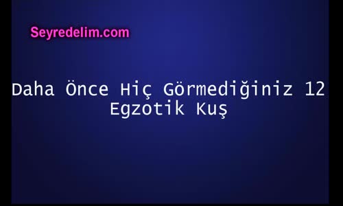 Daha Önce Hiç Görmediğiniz 12 Egzotik Kuş