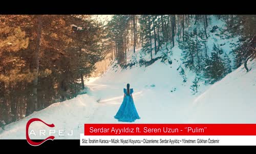 Serdar Ayyıldız Feat. Seren Uzun - Pulim