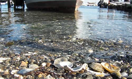 Deniz Sahili ve Kayık