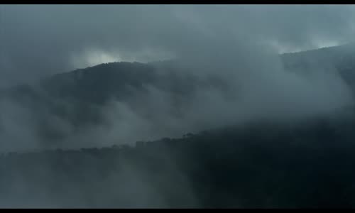 Kurtlar Arasında - Türkçe Dublaj Yabancı Dram Filmi - Full Film İzle