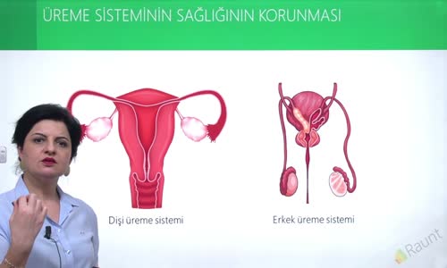EBA BİYOLOJİ LİSE - ÜREME SİSTEMİ VE EMBRİYONİK GELİŞİM - İNSANDA ÜREME SİSTEMİ - ÜREME SİSTEMİNİN SAĞLIĞININ KORUNMASI