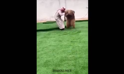 Arap'la Arap Olan Ayı