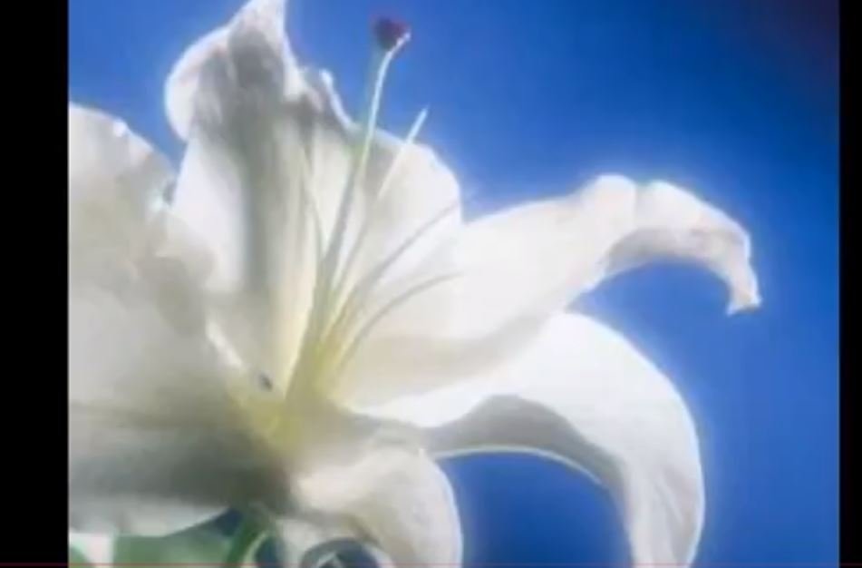 Yeşim Salkım  Bir Zamanlar