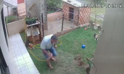 Karınca Yuvasını Yakmak İsterken Bahçeyi Patlatan Adam