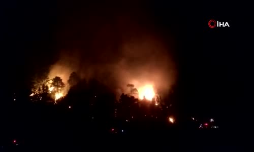 Mersin'de orman yangını