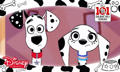 101 Dalmaçyalı Sokağı - Dalmaçyalılar İnsanı Evcilleştiriyor