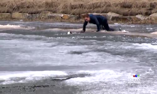 Donmuş Göle Düşen Köpeği Kurtaran Kanadalı