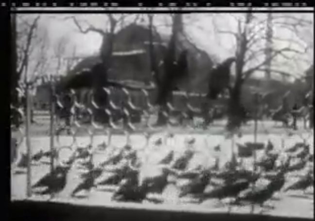 İşte Hayat 10.Bölüm 