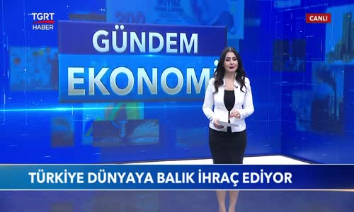 Türkiye Levrek ve Çipurada Dünya Lideri 