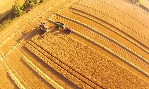 Buğday hasatını helikopterden izlediniz mi hiç!!! Muhteşem görüntüler!!!