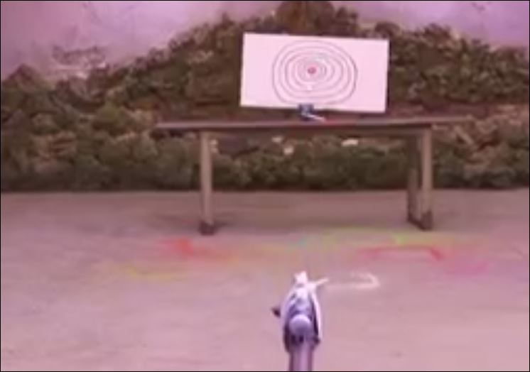 Havalı Tüfeğe Lazer Taktık - 12'den Vurabildik Mi?