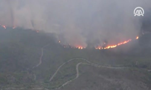 Yunanistan'daki Orman Yangınlarında 74 Kişi Öldü