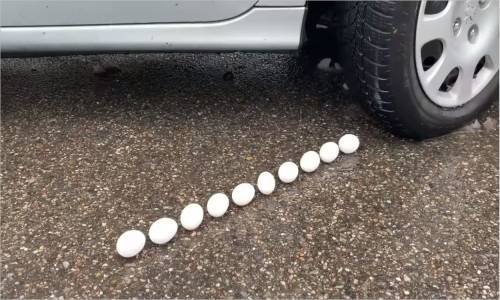 Araba - 10 Adet Yumurta Testi # 181