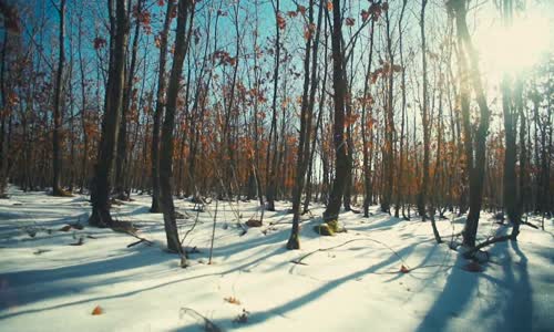 Emre Kaya - Aşk Diye Soludum