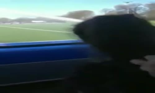 Sahaya Atlamak İsterken Hüsran Üstüne Hüsrana Uğrayan Kadın 