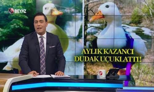 BU ÖRDEK AYDA 40 BİN LİRA KAZANIYOR!