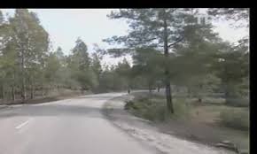 Bursa - Temenna Geleneği