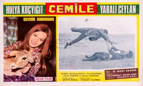Yaralı Ceylan 1970 Türk Filmi İzle