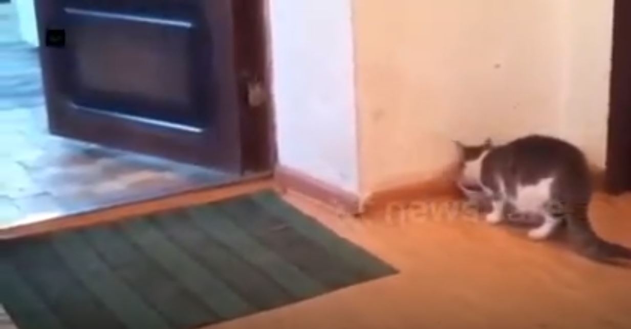 Paylaşmak Güzeldir :) 