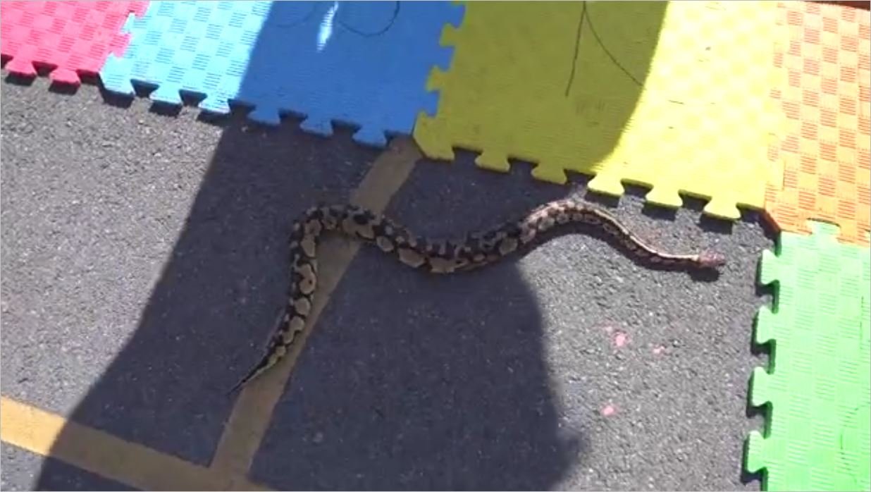 Cezalı Dev Monopoly 3