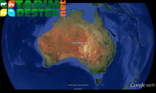 Avustralya'da Ceviz Üretiminde Gelinen Son Nokta