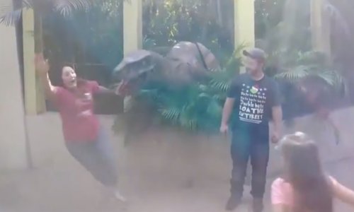 Yapay Dinozordan Korkan Kadın