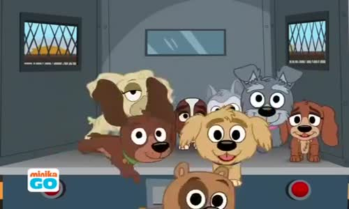 Pound Puppies 12. Bölüm İzle