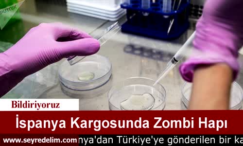 İspanya Kargosunda Zombi Hapı