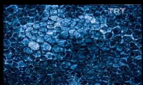 Ayna'dan Yansıyanlar 20.Bölüm İzle