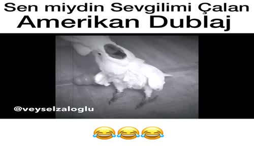 Sen miydin Sevgilimi Çalan - Amerikan Dublaj