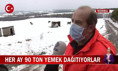 İstanbul Orman Gönüllüleri Her Ay Sokaktaki Canlara 90 Ton Yemek Dağıtıyor! İşte Görüntüler 