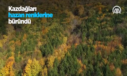 Kazdağları Hazan Renklerine Büründü