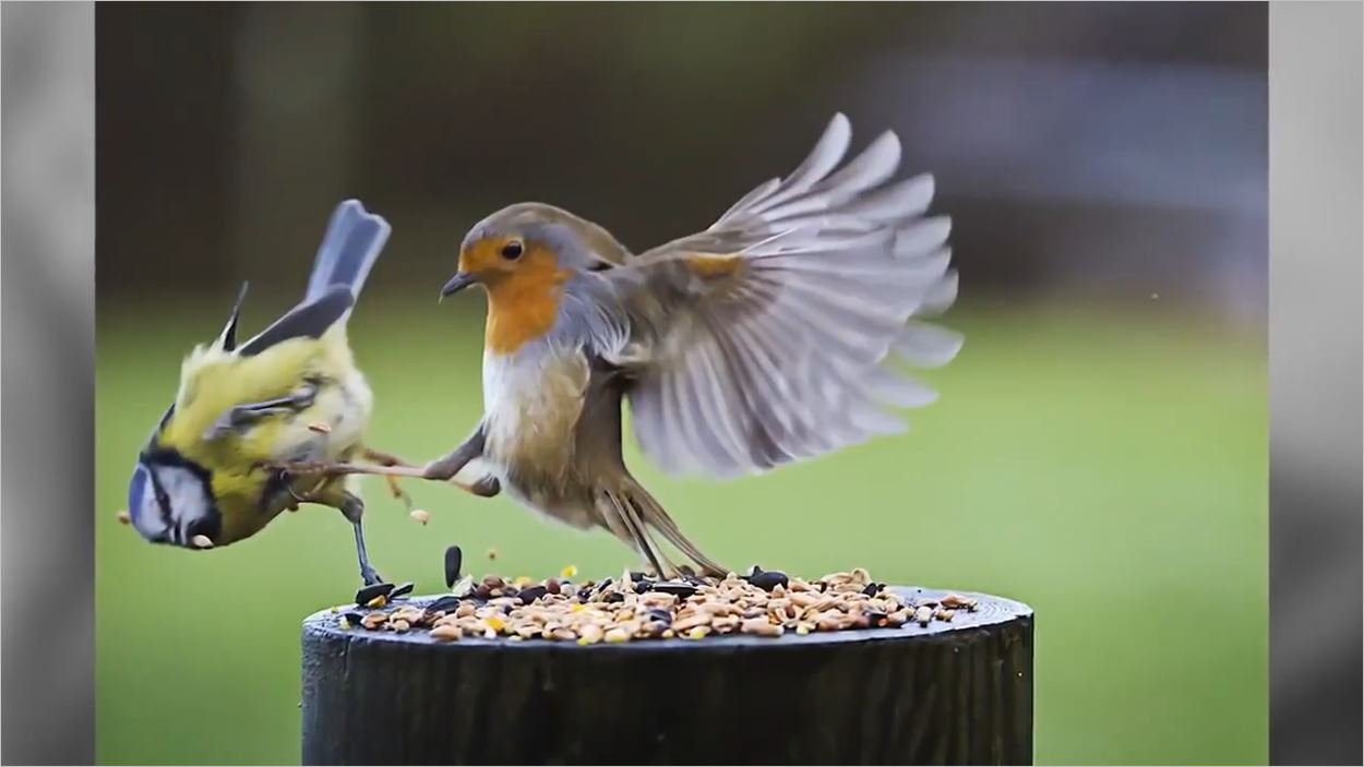 En Talihsiz Anlarda Çekilen 25 Fotoğraf - Oha Diyorum