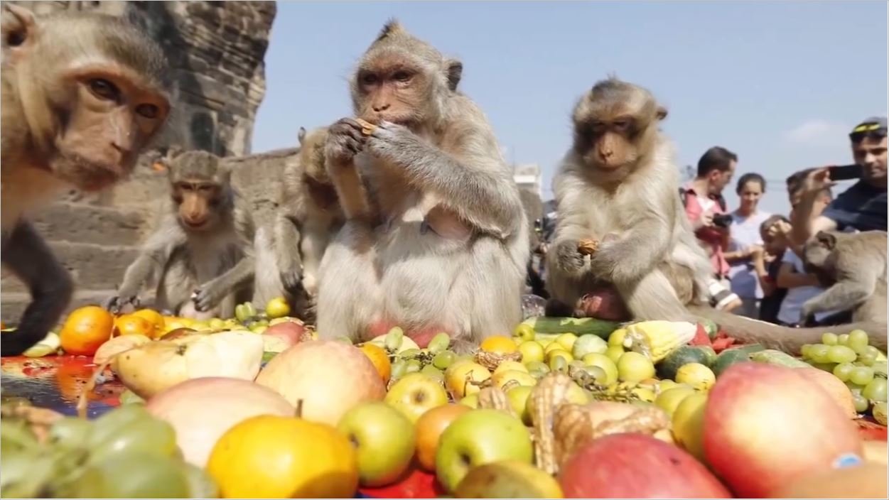 Dünyanın En Tuhaf 8 Festivali