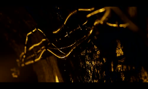 Ziynet Sali - Dağınık Yatak