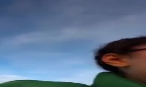 Köpek Fobisi Olan Kadının Komik Anları