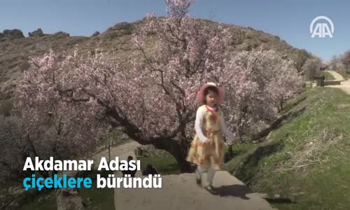 Akdamar Adası çiçeklere büründü 