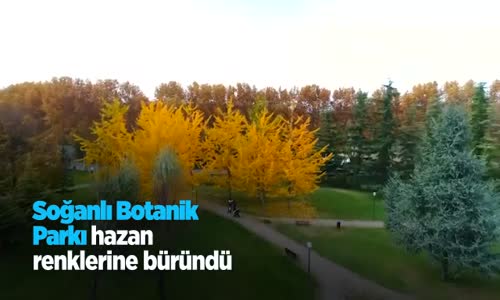 Soğanlı Botanik Parkı Hazan Renklerine Büründü 