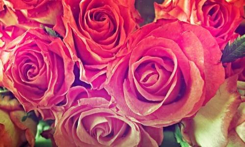 Ajda Pekkan - Sana Neler Edeceğim ( Emre Serin Remix )