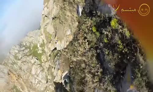 Hayvanların Güldüren Videoları