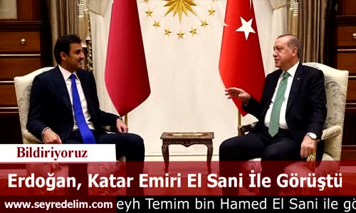 Cumhurbaşkanı Erdoğan, Katar Emiri El Sani İle Bir Araya Geldi