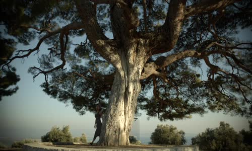 Ali Çakar  Mağusa Limanı
