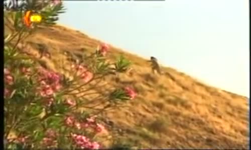 Sivan Perwer - Ey Ferat