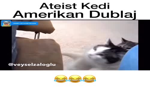  Ateist Kedi - Veysel Zaloğlu ( Amerikan Dublaj )