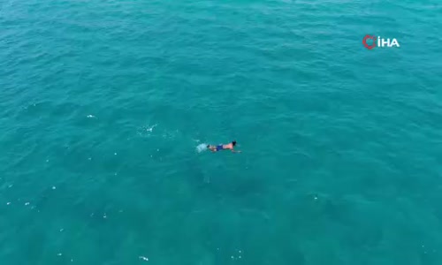 Pandemi işsiz kalan şoförün hayatını değiştirdi, şimdi paraya para demiyor 