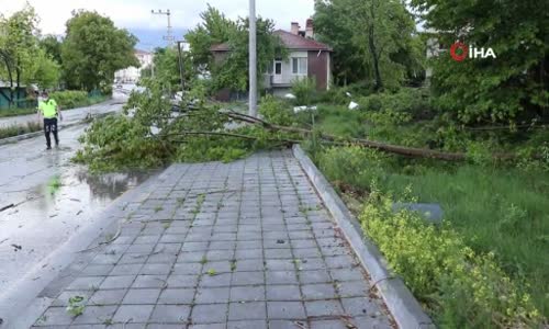Bolu’da şiddetli fırtına ağaçları devirdi