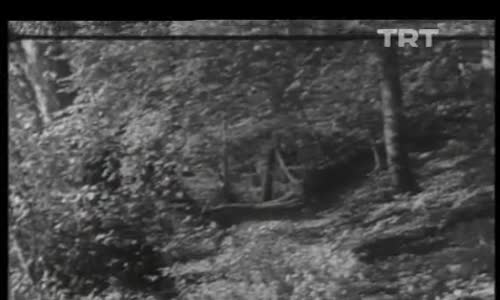 Yozgat'ın Genel Özellikleri İzle