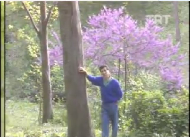 Zekai Tunca-İmkansız