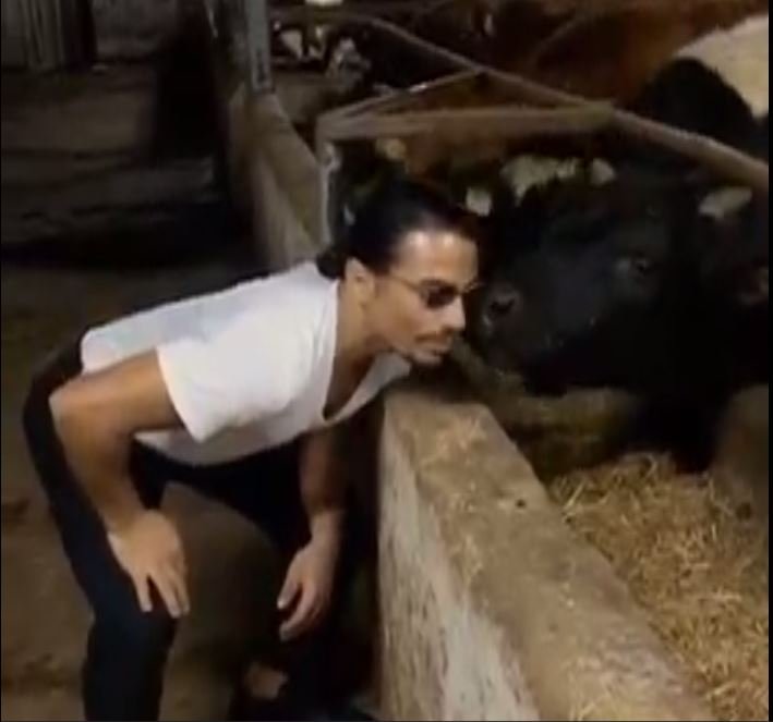 Nusret'in Büyükbaşa Yüzünü Yalatması